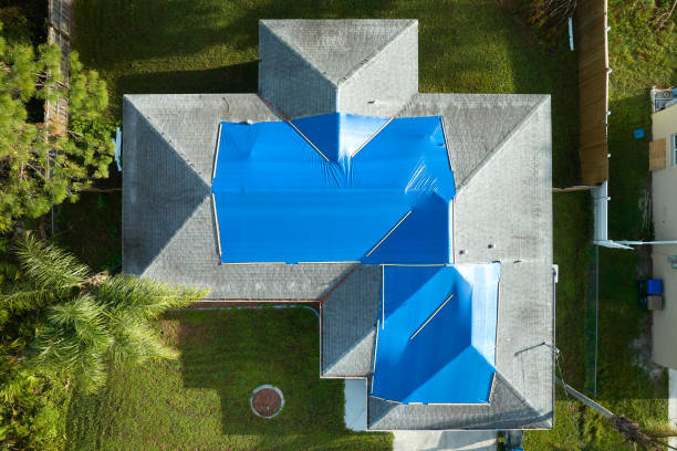 Professional Roofing Services in Felton, DE