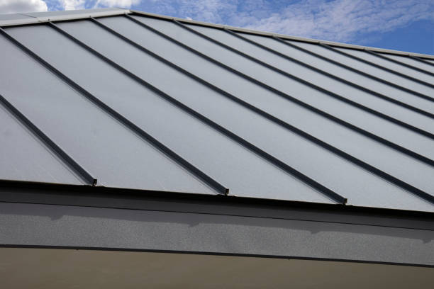 Best Roof Moss and Algae Removal  in Felton, DE