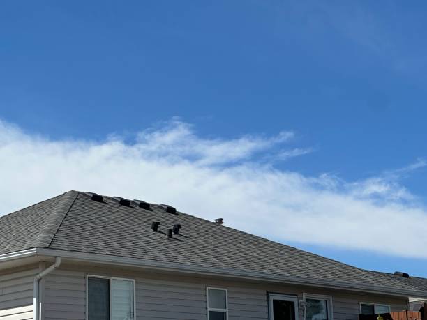 Best Cold Roofs  in Felton, DE